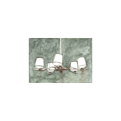 Heimlicht Fuer Herrn Boehner1